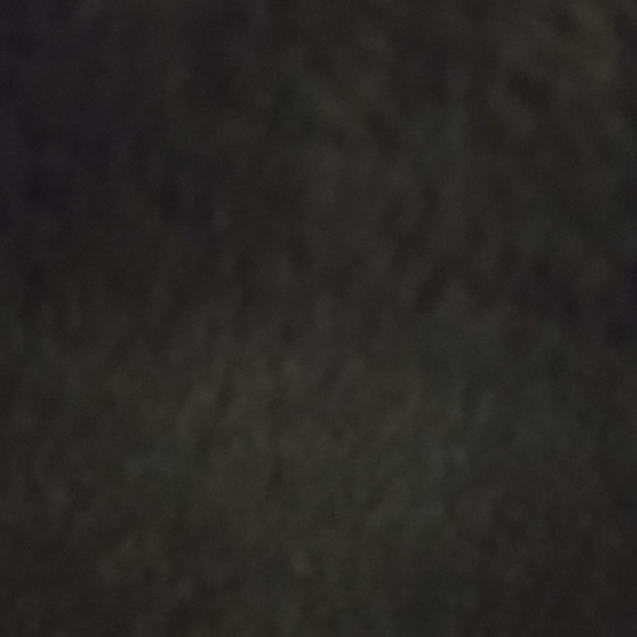 Meet your Posher, Joey - Picture 1 of 1